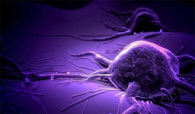 yl23455永利助力轩竹生物研发的完全敲除岩藻糖的双抗ADC药物KM501获批临床