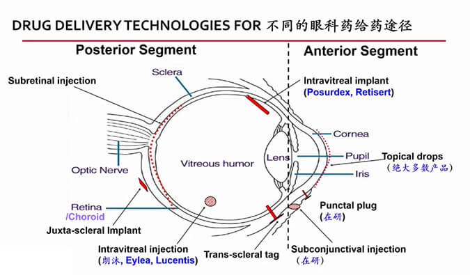 【内附回放+下半场预约】yl23455永利眼科药物专题钻研会上半场精彩回首