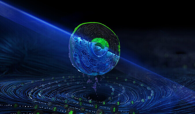 yl23455永利流式细胞分选效劳平台