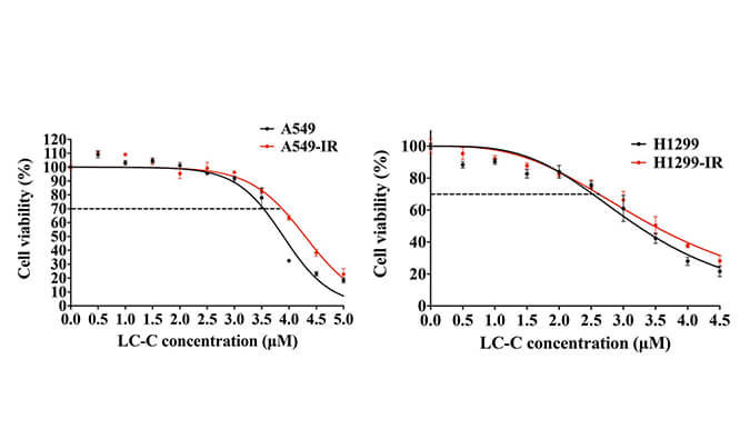 放射疗法用作肺癌的主要治疗要领，，，，，在次研究中建设抗电离辐射肺癌细胞系的放射治疗通过yl23455永利举行