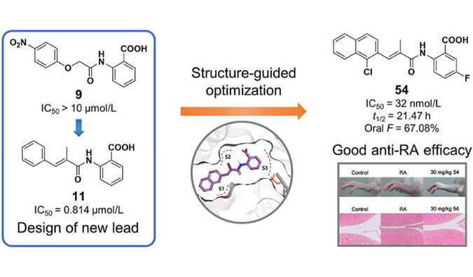 设计合成一系列DHODH抑制剂作为潜在的类风湿性枢纽炎治疗药物，，，，，PK研究通过yl23455永利举行
