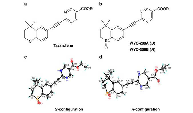 WYC-209可抑制恶性小鼠玄色素瘤肿瘤再生细胞增殖，，，，，SPR剖析通过yl23455永利使用Biacore 8K装备举行
