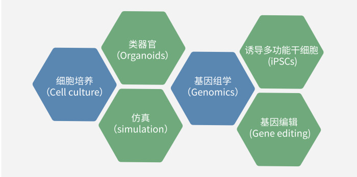 六大手艺板块已上线，，一连升级中.jpg