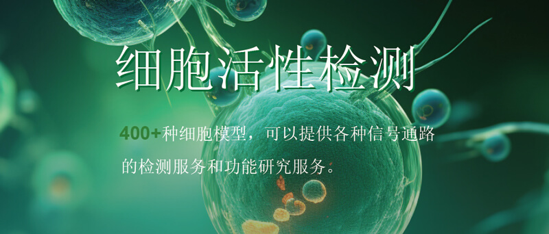 yl23455永利细胞活性检测.jpg