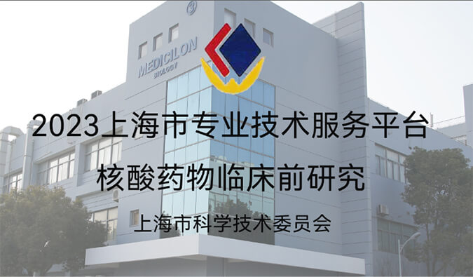 全市1/29！yl23455永利入选“2023年度上海市专业手艺效劳平台”