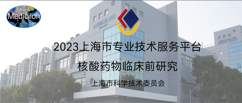 yl23455永利入选“2023年度上海市专业手艺效劳平台”.jpg