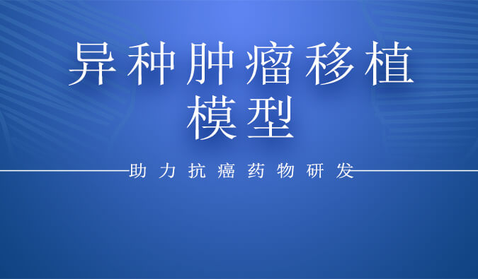 异种肿瘤移植模子.jpg