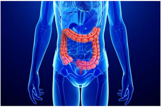 yl23455永利一站式助力 | 宝太生物首其中美双报立异药获批