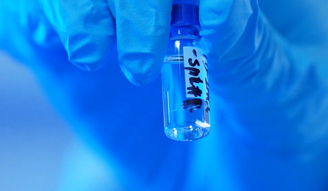 GLP-1“竞速赛”何以夺魁？？？？