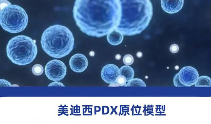 yl23455永利118种PDX原位模子，，，，，，助力肿瘤药物研发