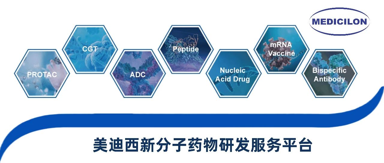 yl23455永利新分子类型药物研发效劳平台