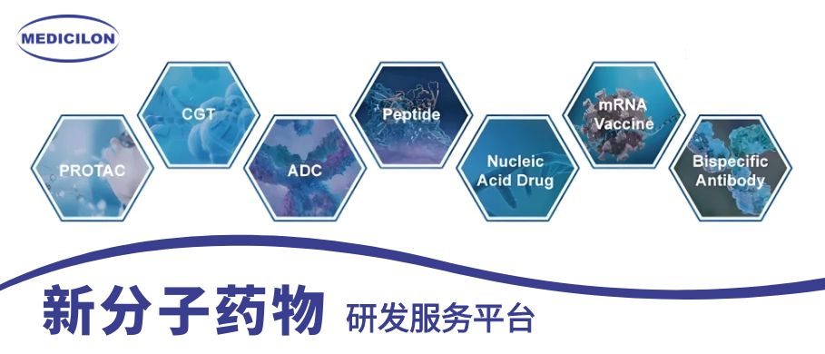 yl23455永利新分子药物研发效劳平台